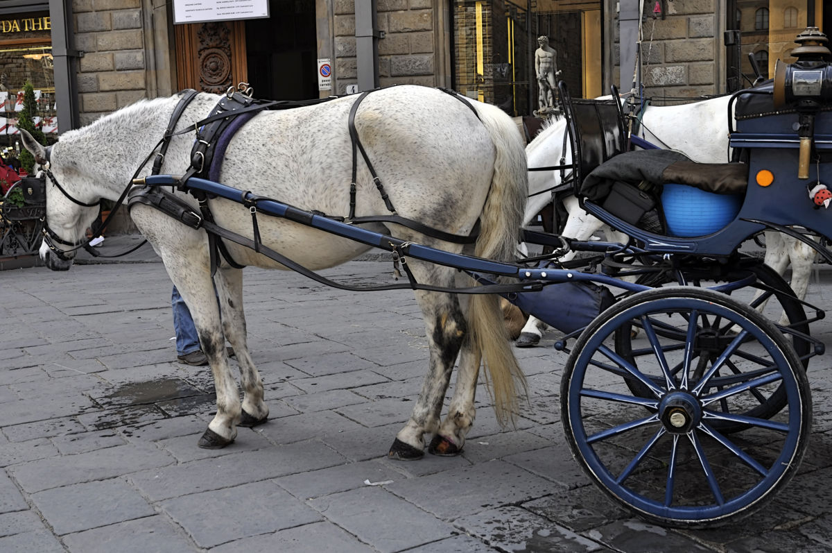 Concorrenza-sleale-per-agganciamento