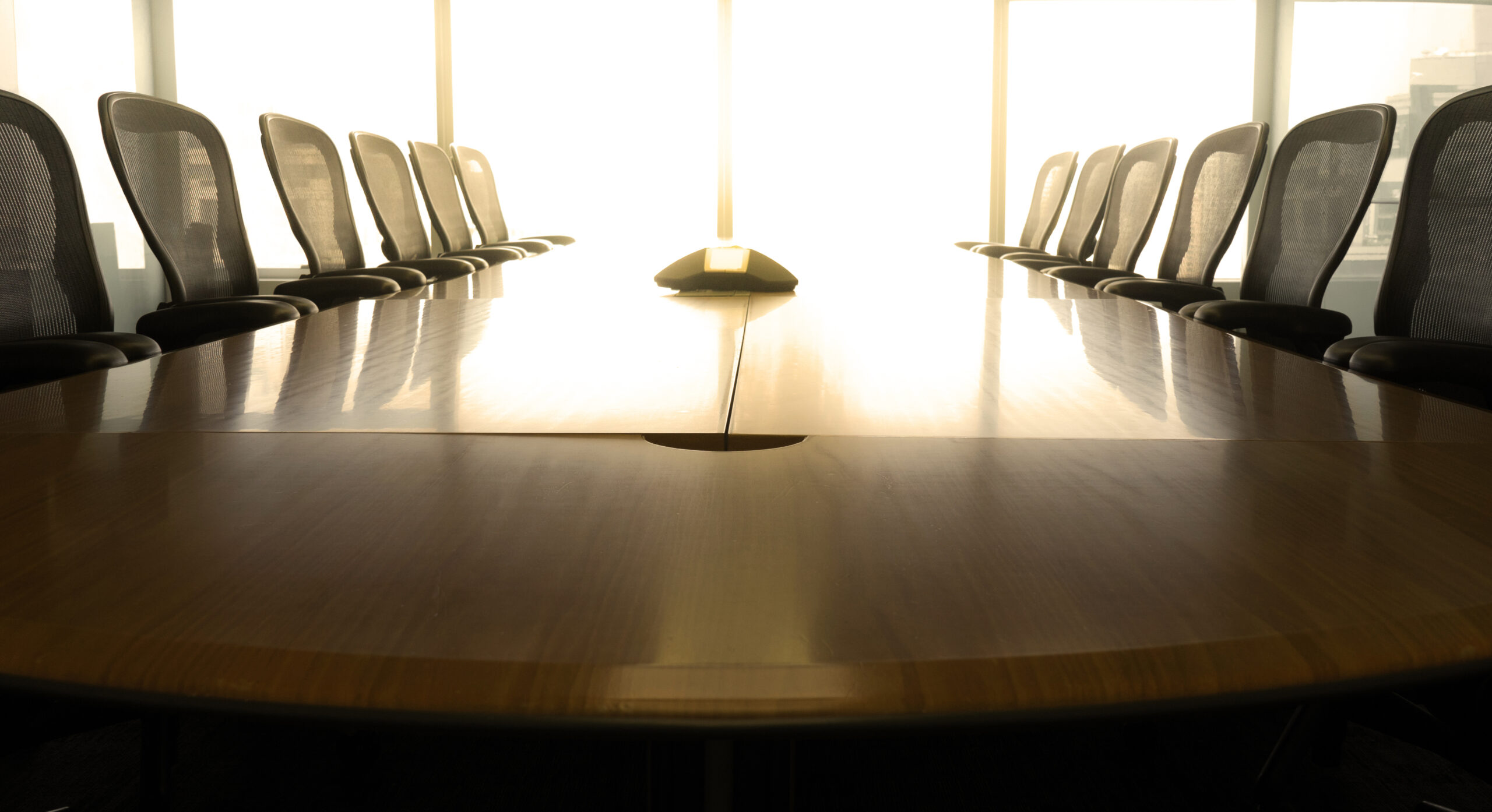 azione-sociale-responsabilita-amministratori-srl-articolo-2476